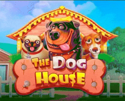 play the dog house in millioner casino