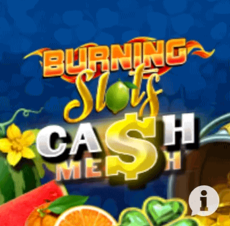 play burning slots in millioner casino